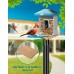 XDW-GIFTS Bird House Pole, 1 Pack 109 Inch Metal Bird Feeder Pole for Outdoor, with 5-Prong Heavy Duty Base for Birdhouse Mounting, Weather Station XDW-GIFTS Bird House Pole, 1 Pack 109 Inch Metal Bird Feeder Pole for Outdoor, with 5-Prong Heavy Duty Base for Birdhouse Mounting, Weather Station
