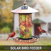 Solar Bird-Feeder for Outside Hanging Outdoor